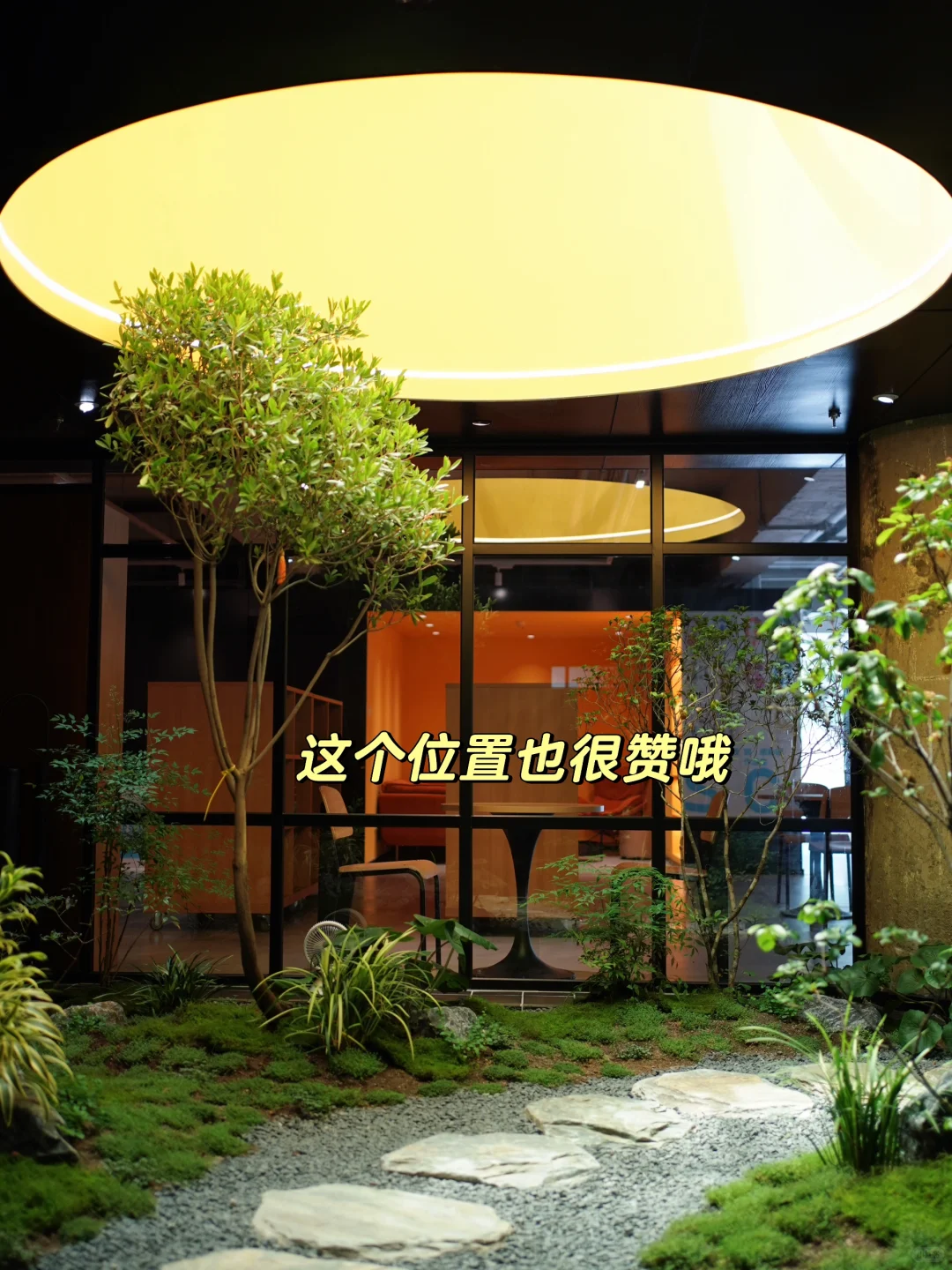 北京100个自习好去处|50.自由文本（奥体）