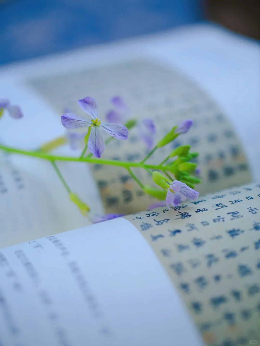 三月·阅读是一座随身携带的避难所