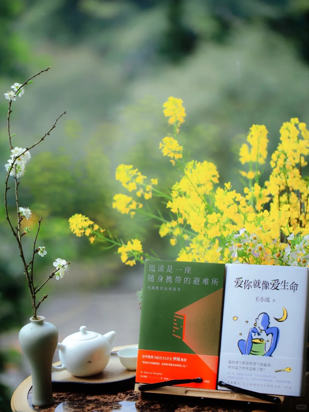 三月·阅读是一座随身携带的避难所