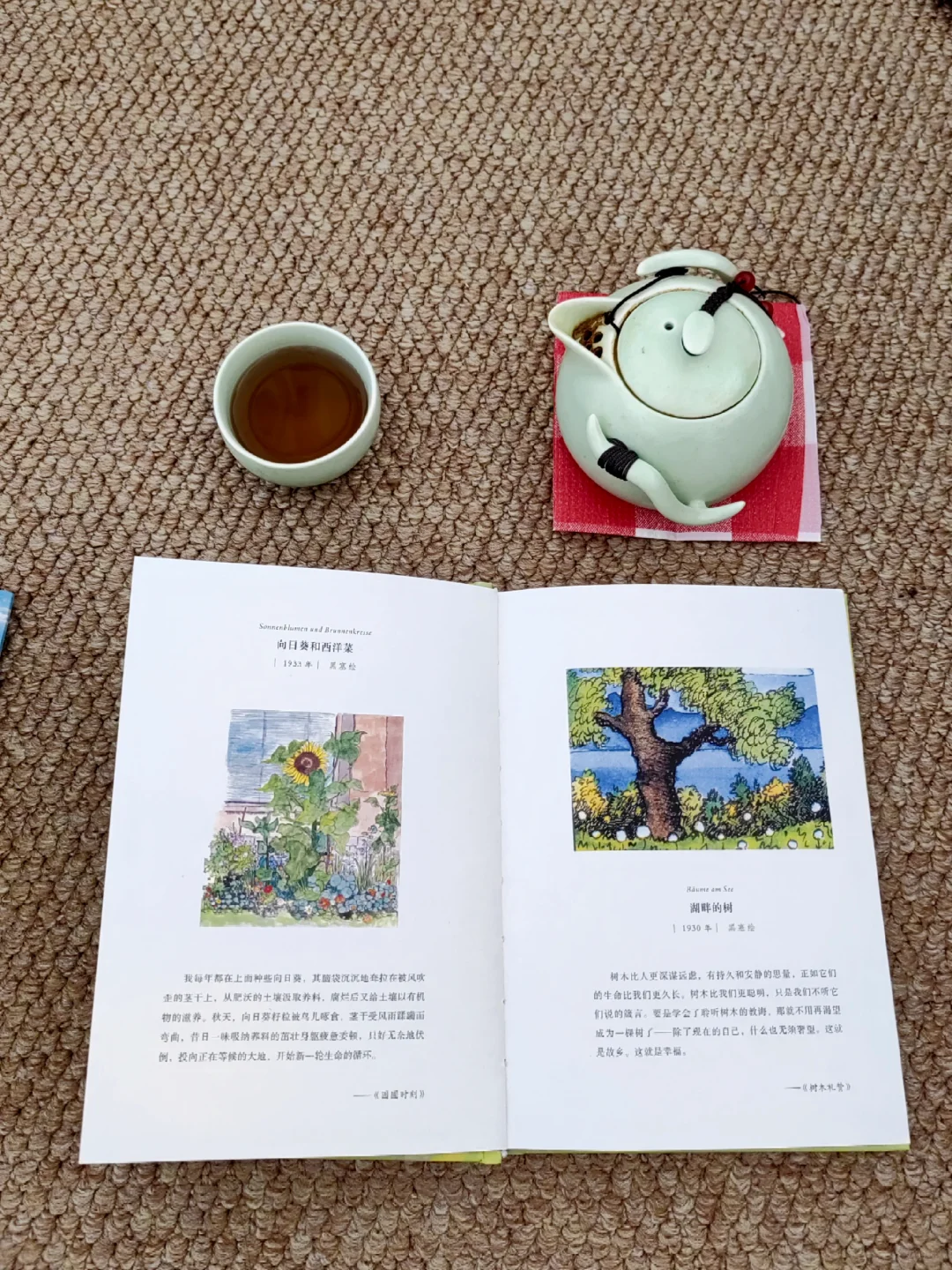 世界越来越美了，我独自一人，却很自在