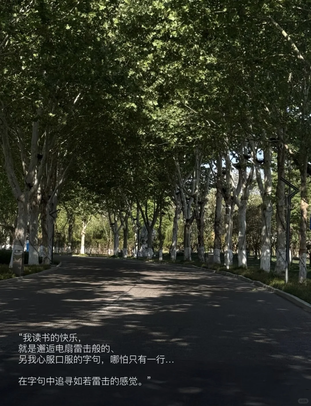 希望我，永远不要停止阅读，不要停止表达