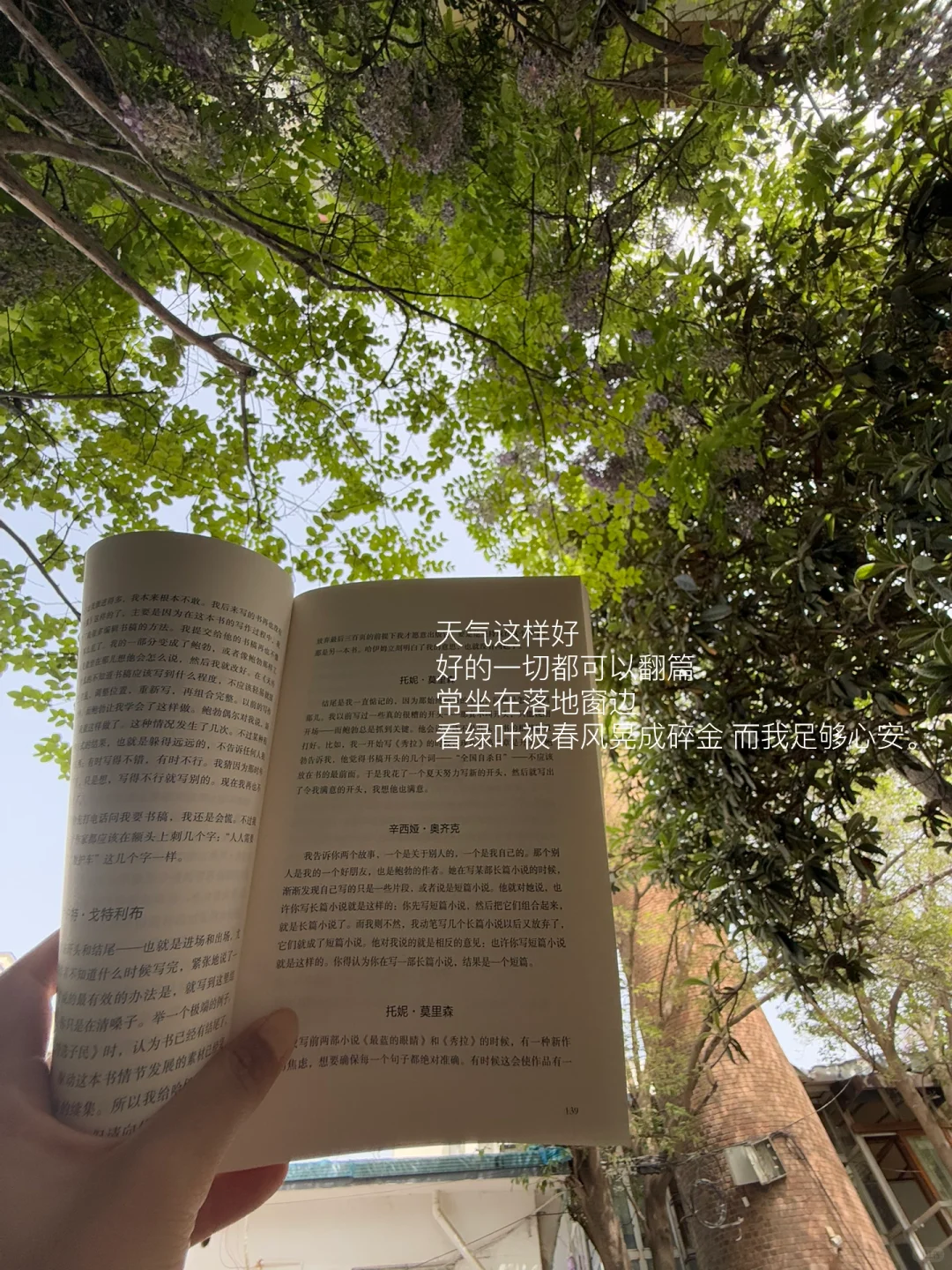 我经常一个人读书喝咖啡。