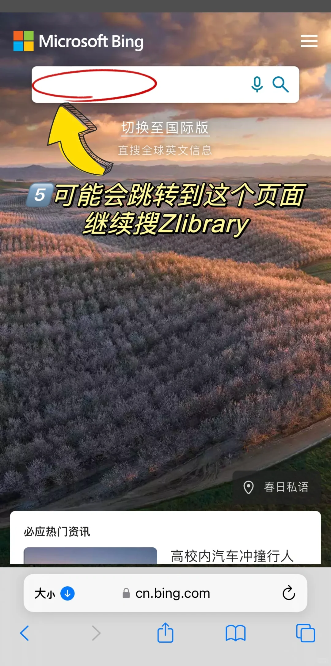 iPad&iPhone实现看书自由🆓附教程 免费❗️