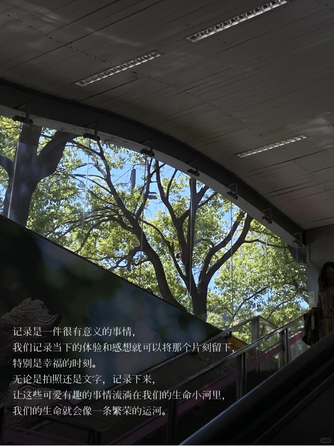希望我，永远不要停止阅读，不要停止表达