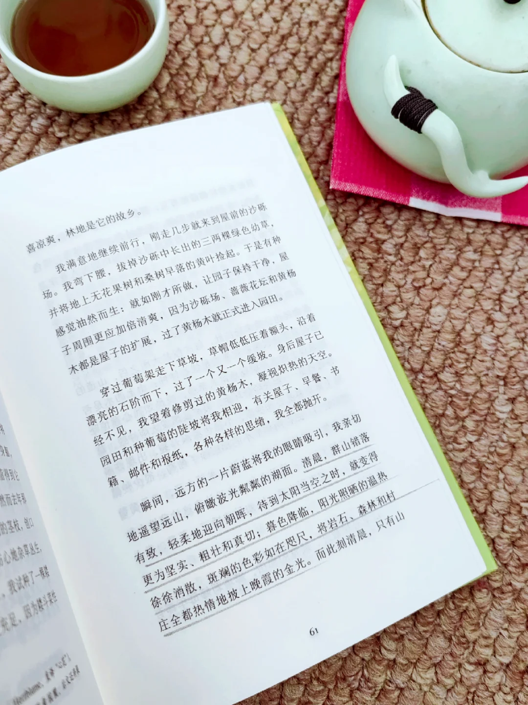 世界越来越美了，我独自一人，却很自在