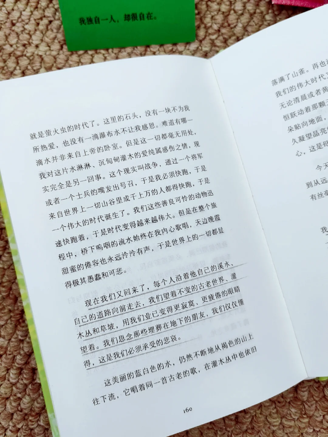世界越来越美了，我独自一人，却很自在
