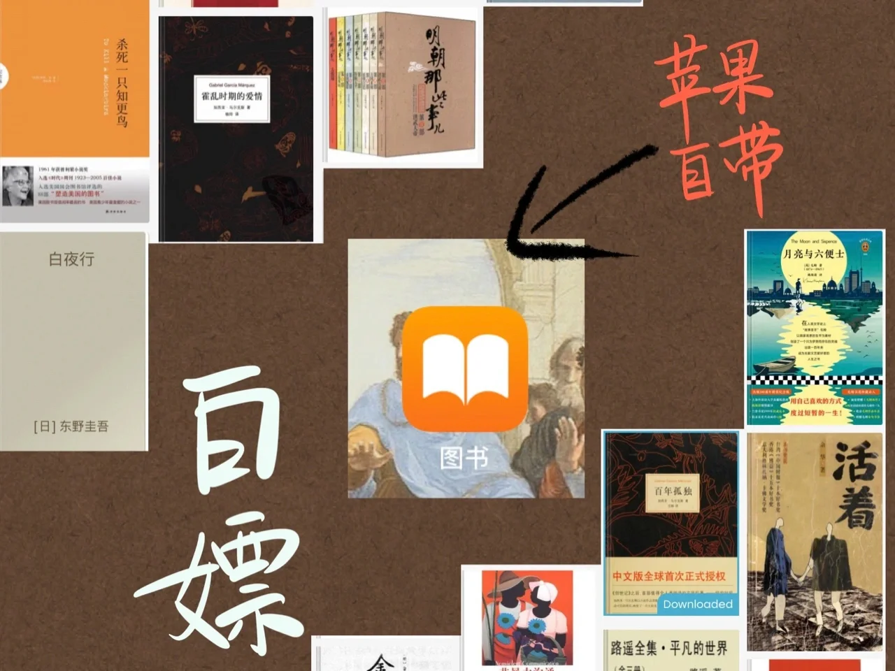Ipad电子书库 ▏Zlibrary教程📖看书自由！