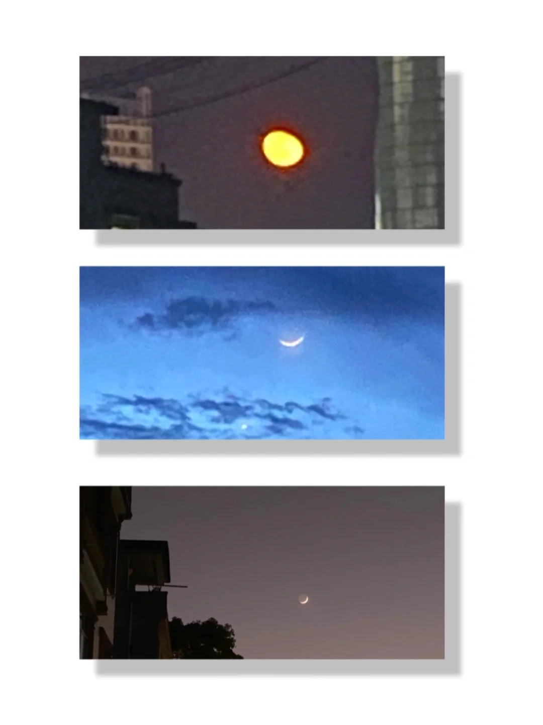 拥有自由，鲜花，书籍和月亮的人，怎会不快乐？