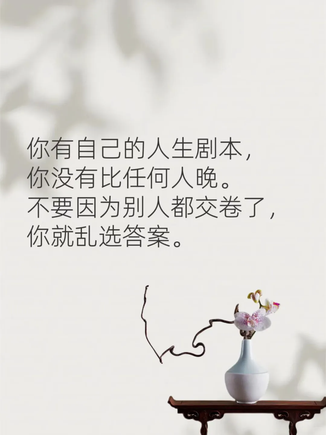 花有花期，允许自己是朵晚开的花