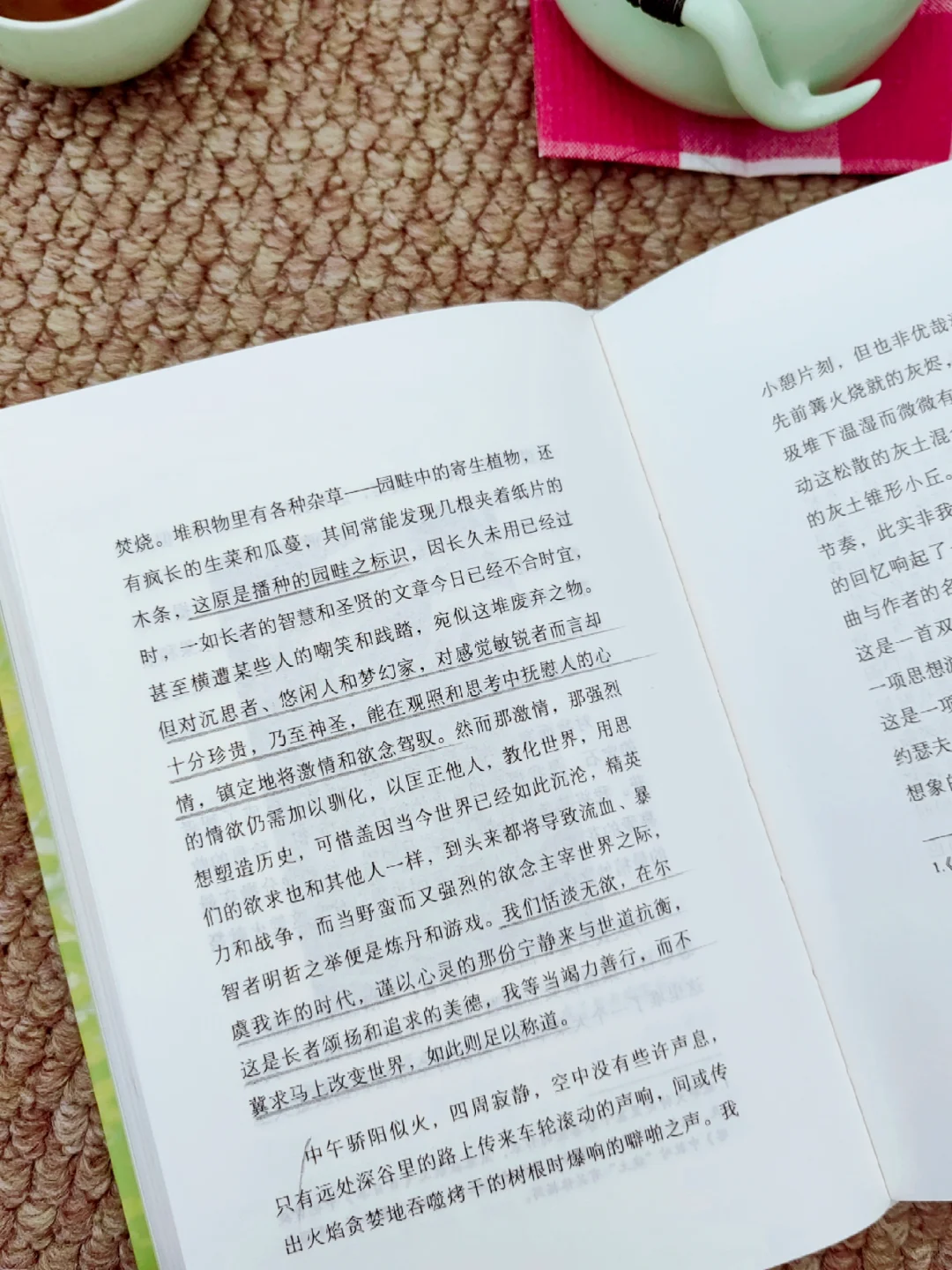 世界越来越美了，我独自一人，却很自在