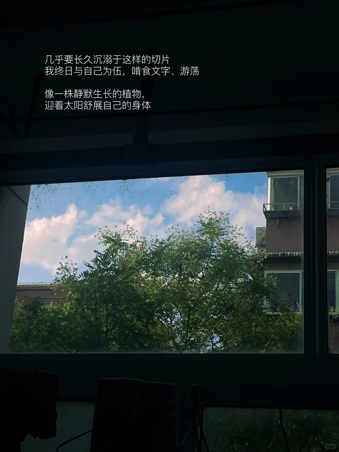 我经常一个人读书喝咖啡。