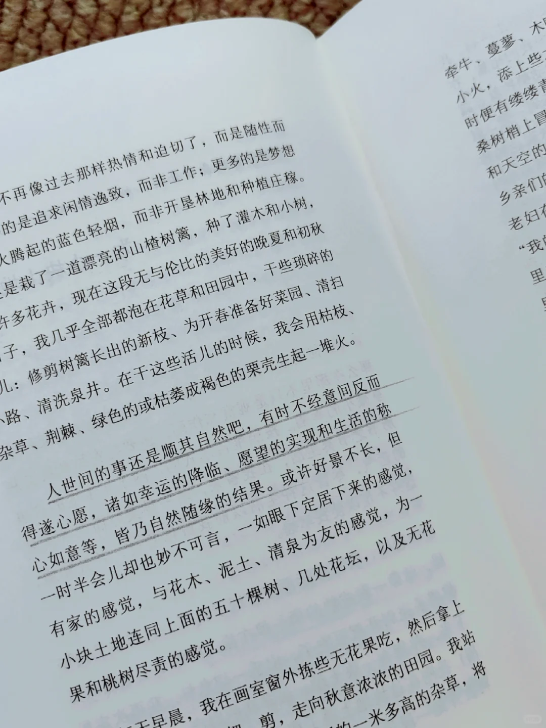 世界越来越美了，我独自一人，却很自在