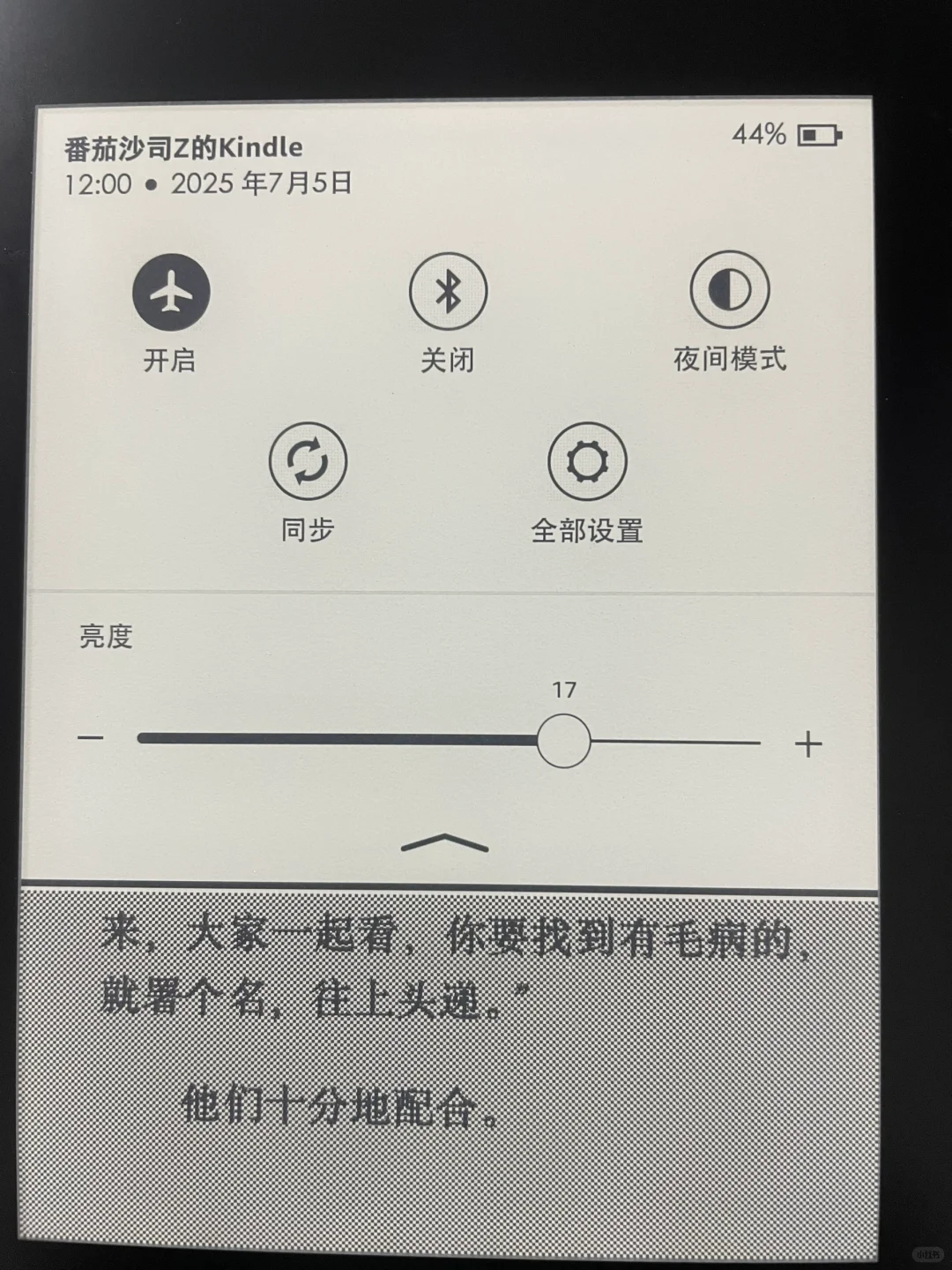 我的小Kindle真好用