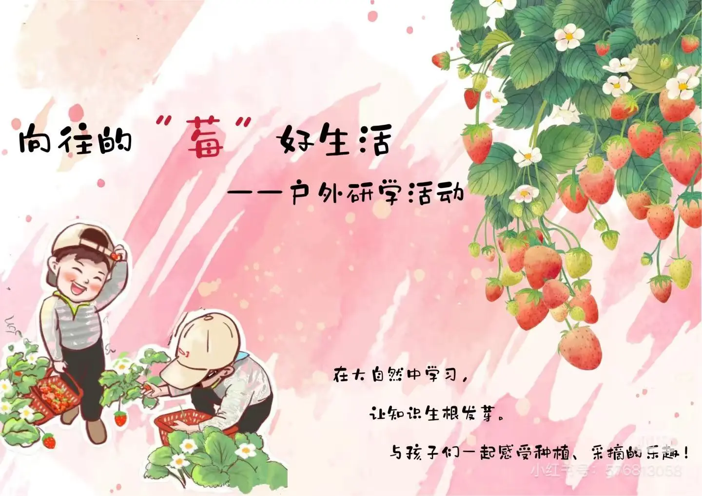 有趣的活动有很多...