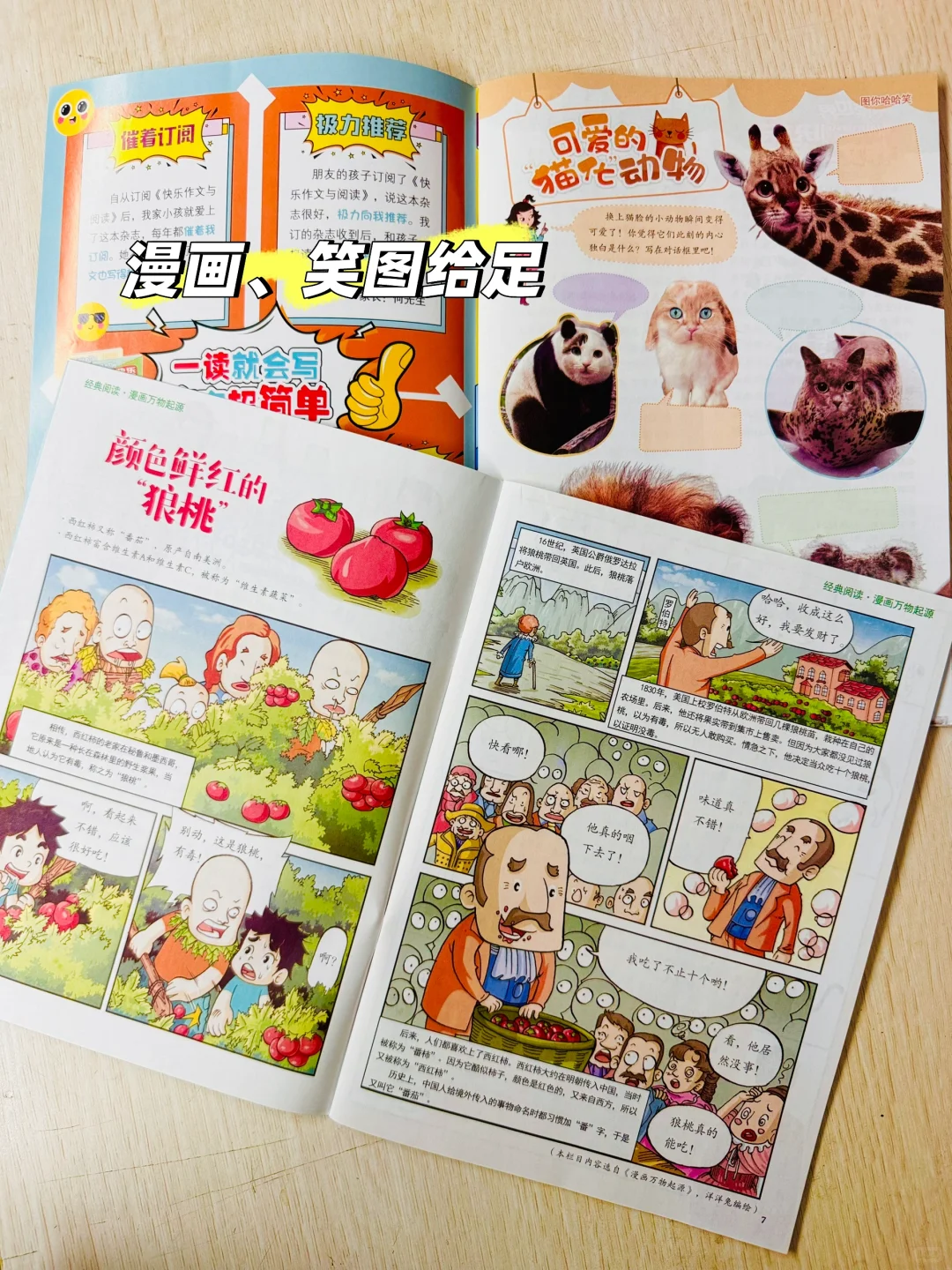 这本杂志在学校很火，为什么在网上不火？
