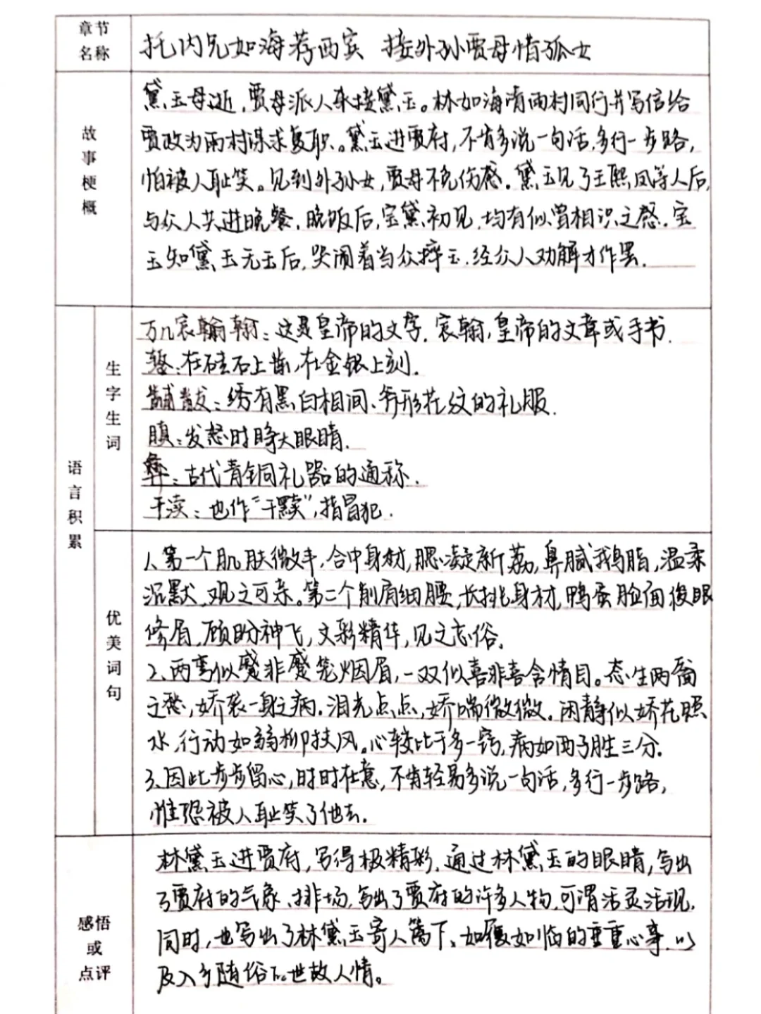 📖《红楼梦》阅读笔记–高一寒假日常