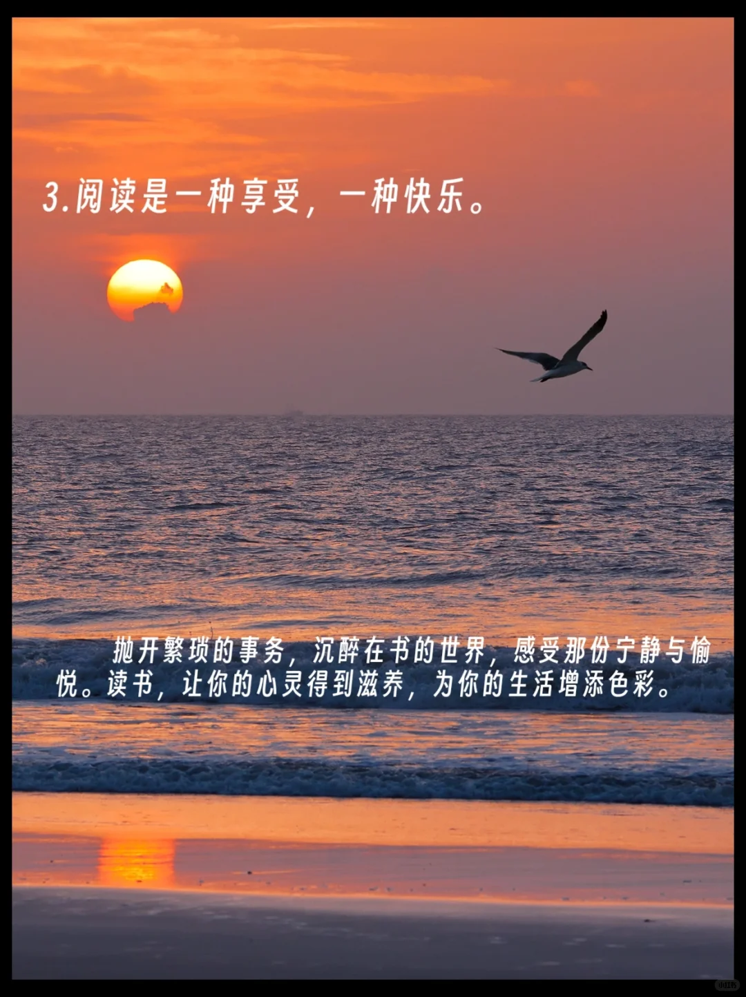 D16 一些读书文案，希望能激起你阅读的欲望