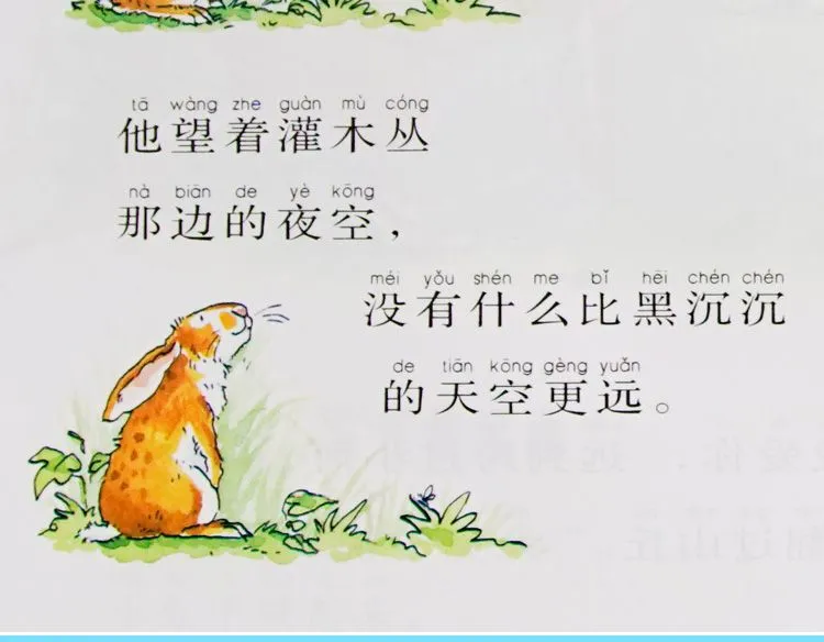 成人也能畅享绘本乐趣！