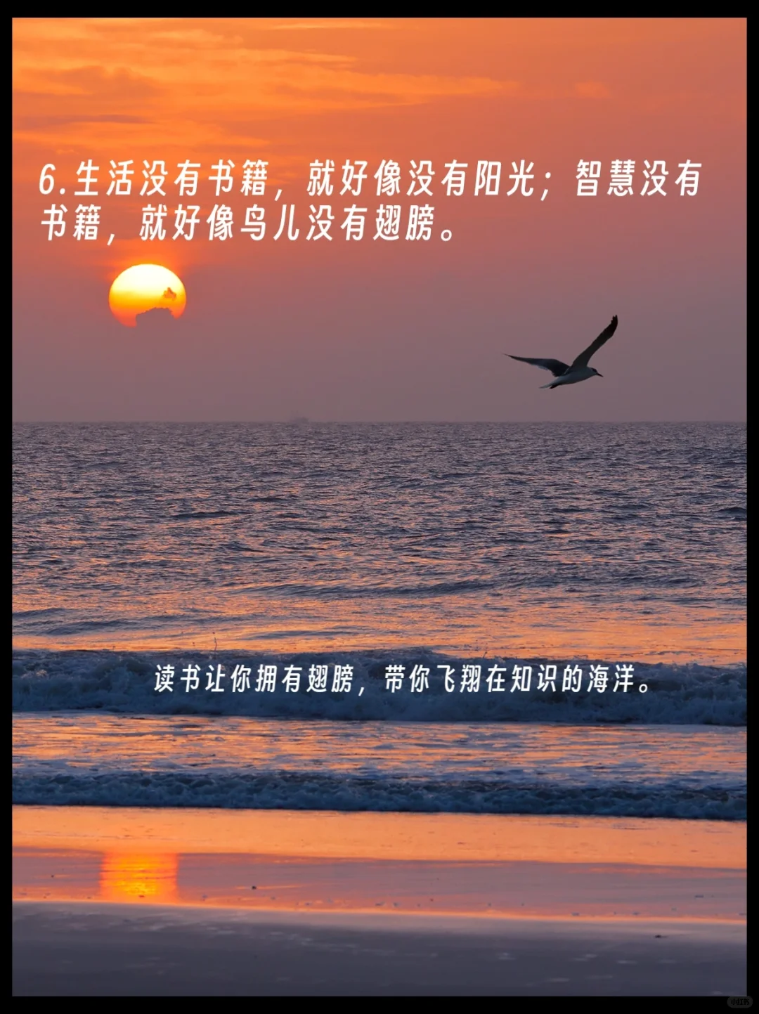 D16 一些读书文案，希望能激起你阅读的欲望