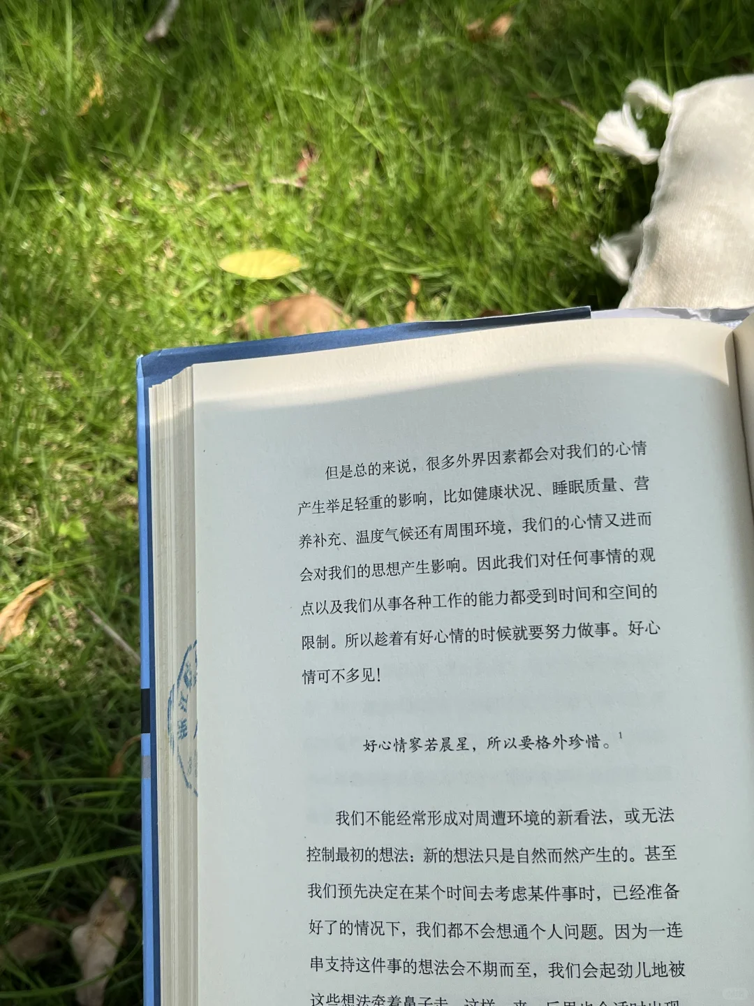 阳光下｜独处、阅读、贪婪的享受着这份幸福