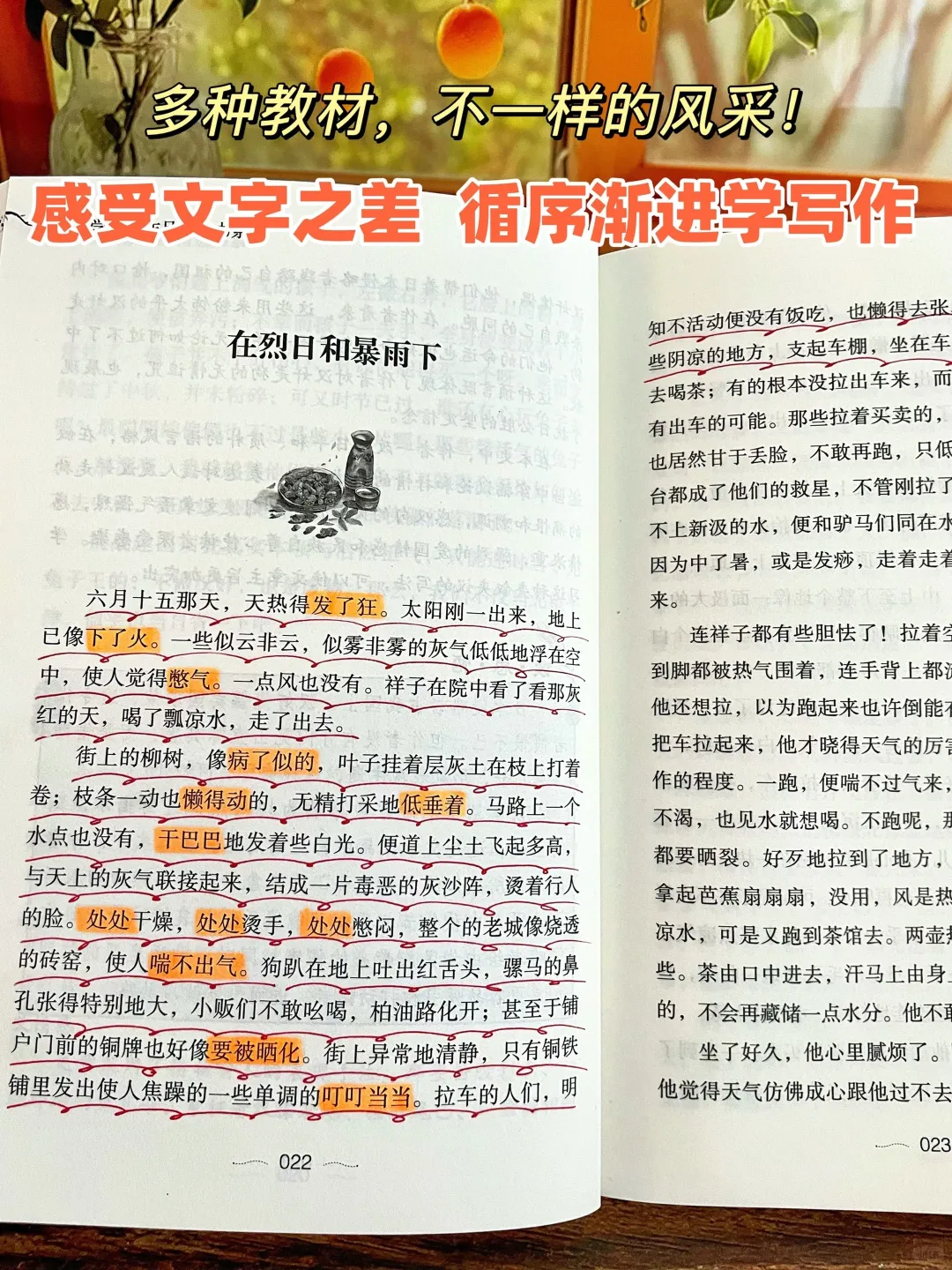 多读名家作品，享受阅读饕餮盛宴