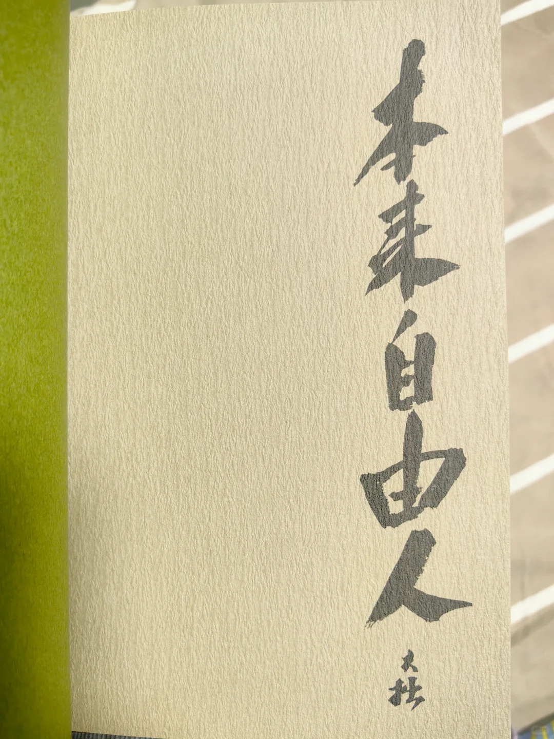 下班后的自由阅读时光