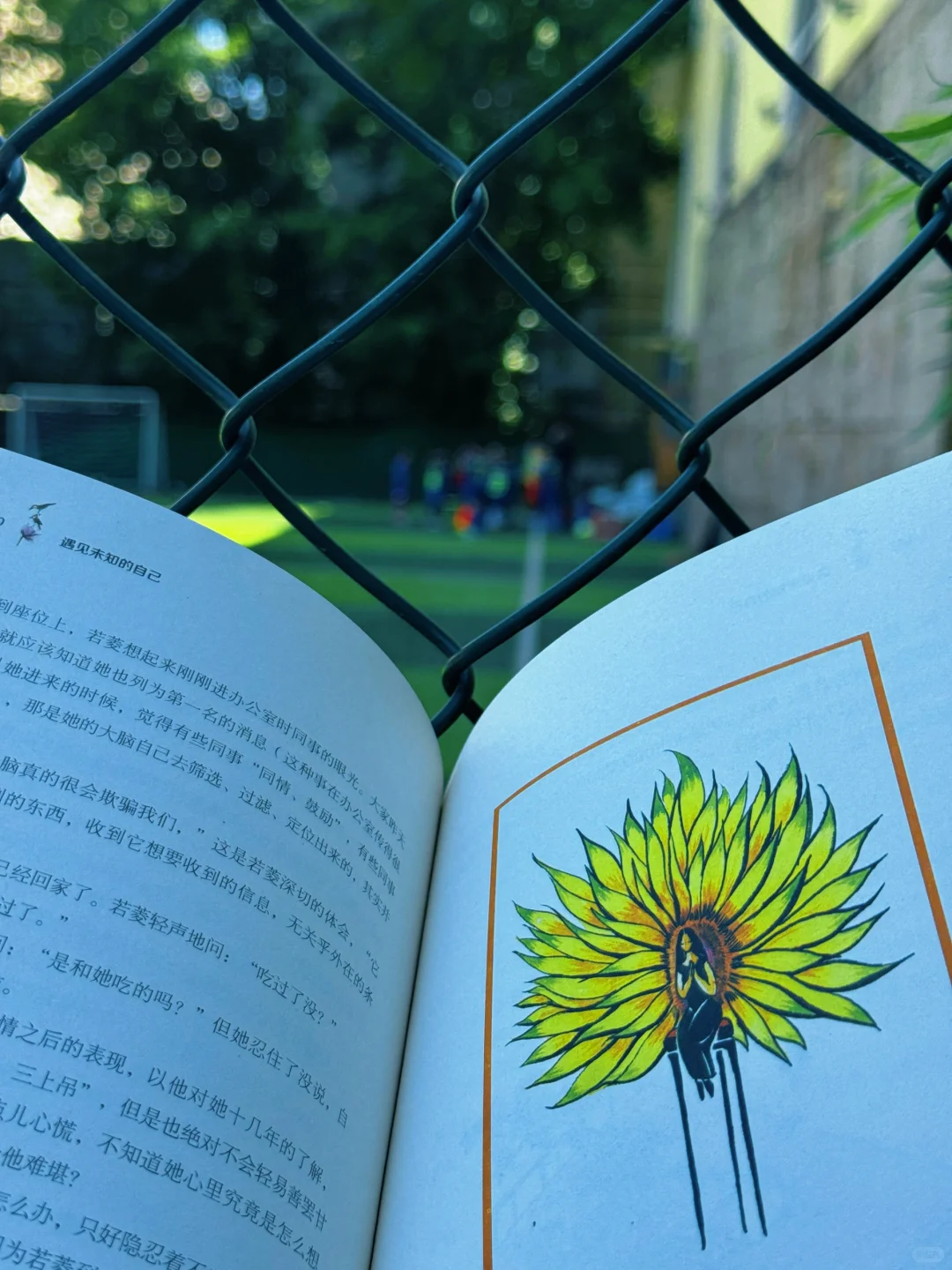 阳光下，绿茵旁，带娃看书两不误📚
