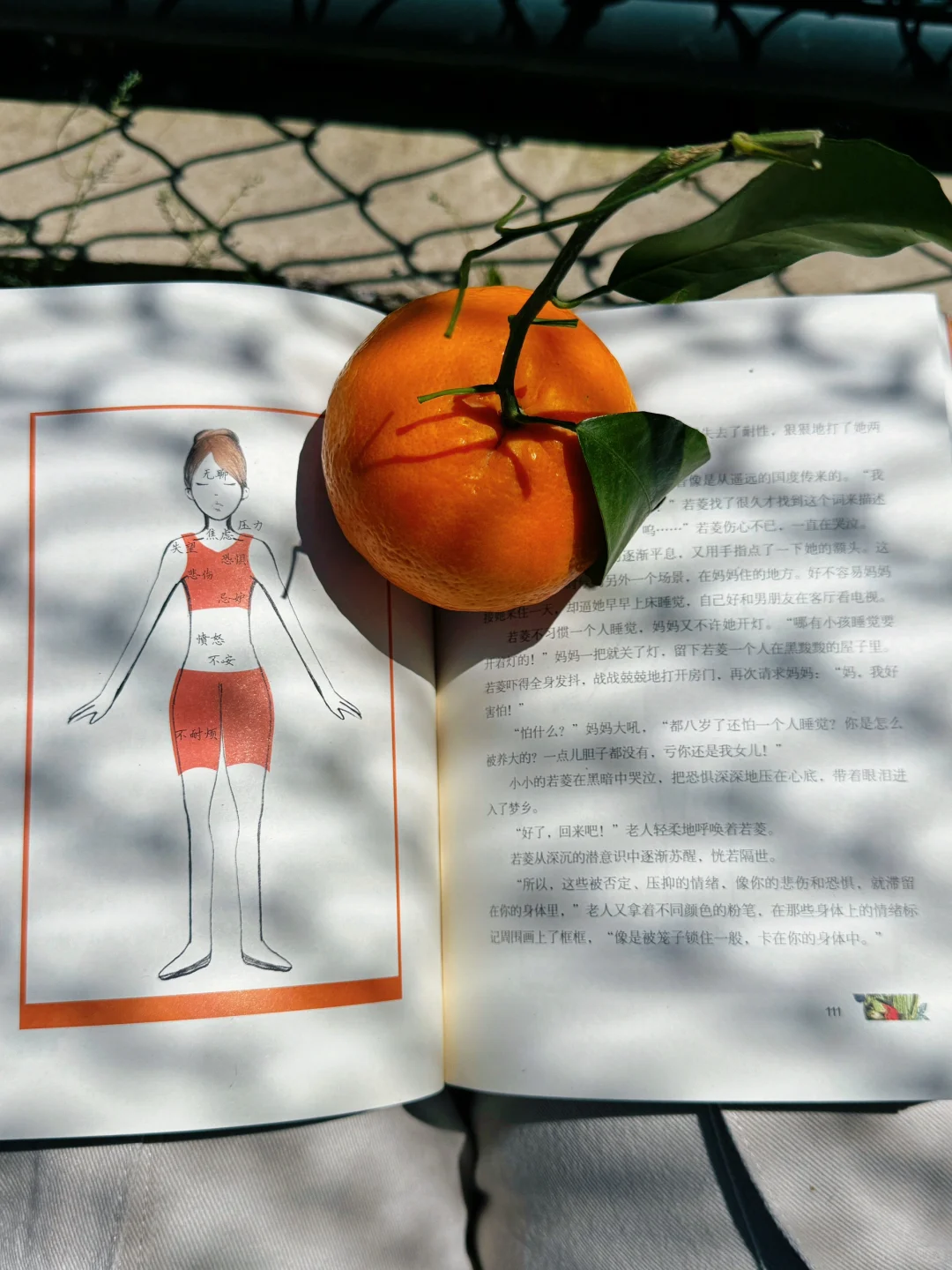阳光下，绿茵旁，带娃看书两不误📚