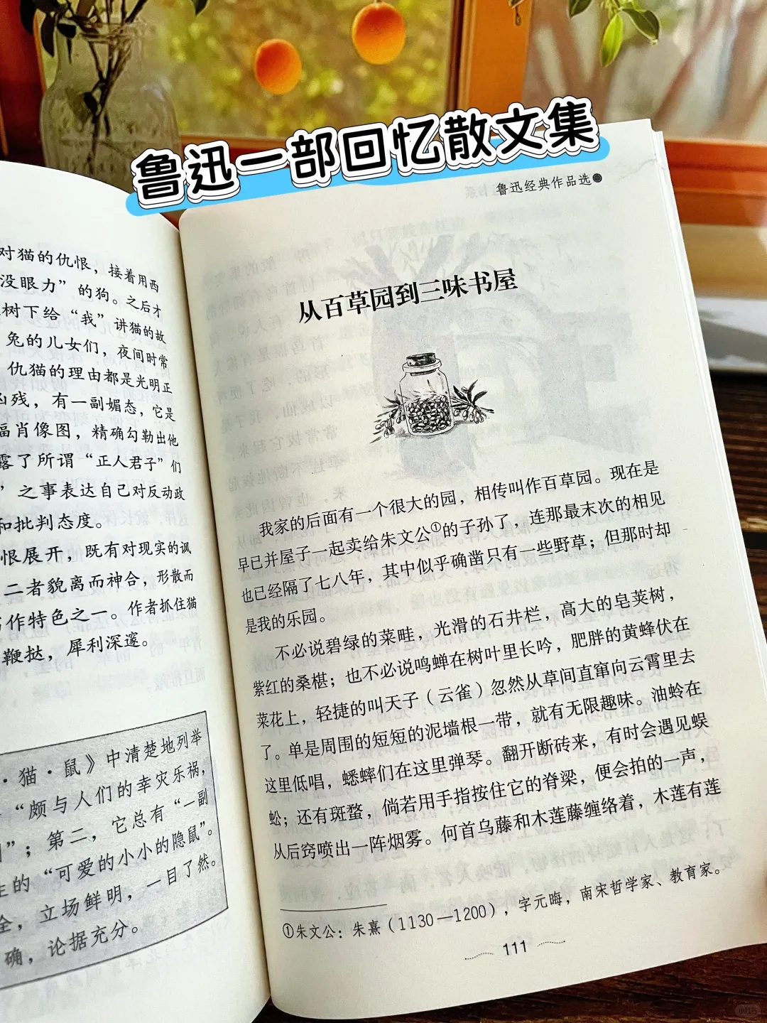多读名家作品，享受阅读饕餮盛宴