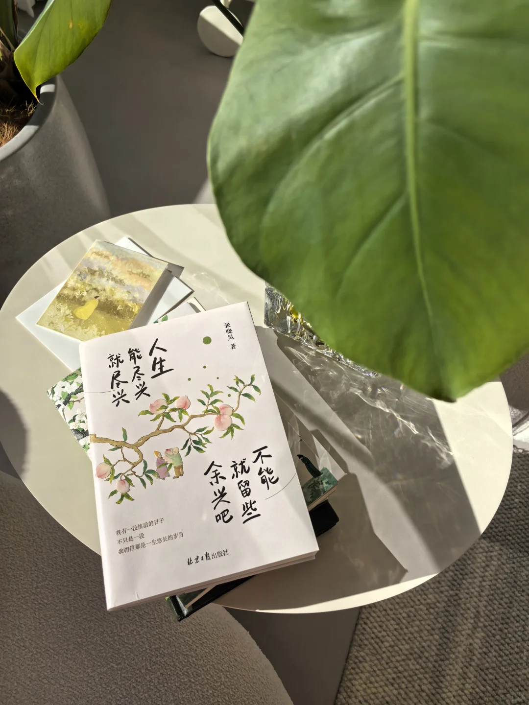 人生能尽兴就尽兴，不能就留些余兴吧！