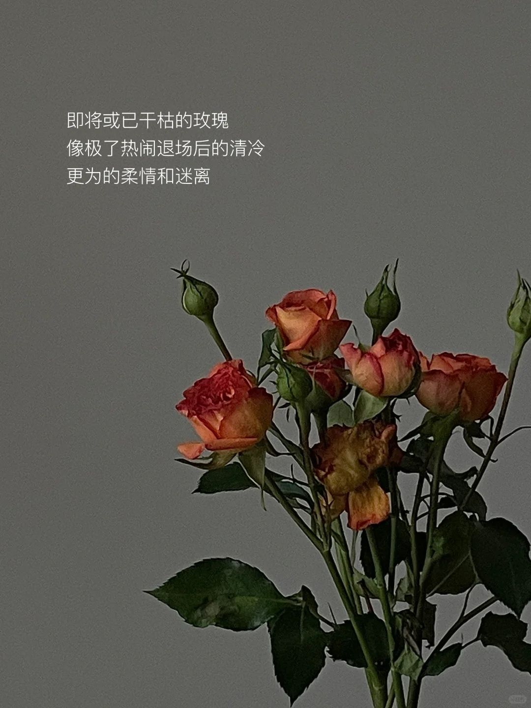 书籍和音乐，是我接近自由的方式