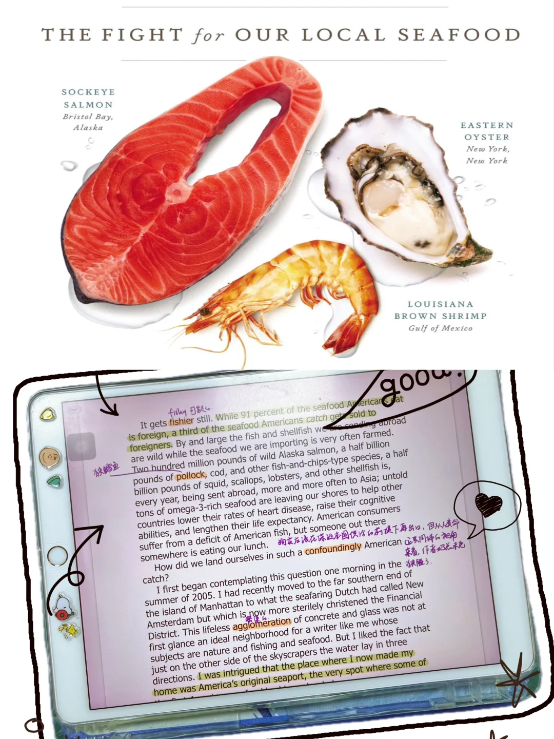 📖英文书单｜🐟营养又美味的阅读体验