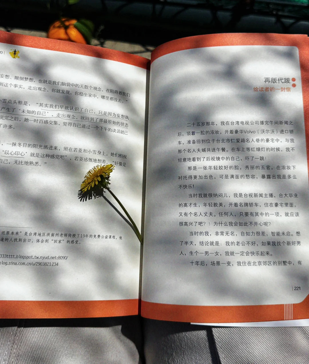 阳光下，绿茵旁，带娃看书两不误📚