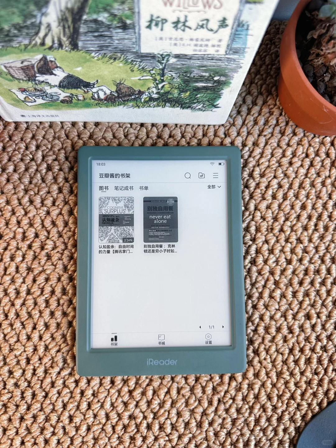掌阅Neo3高清图片欣赏这个颜值打几分？