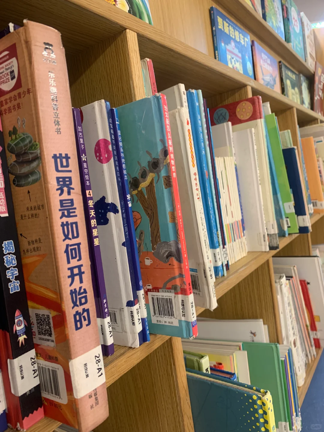 如何培养一个自信从容的阅读小达人❓❓