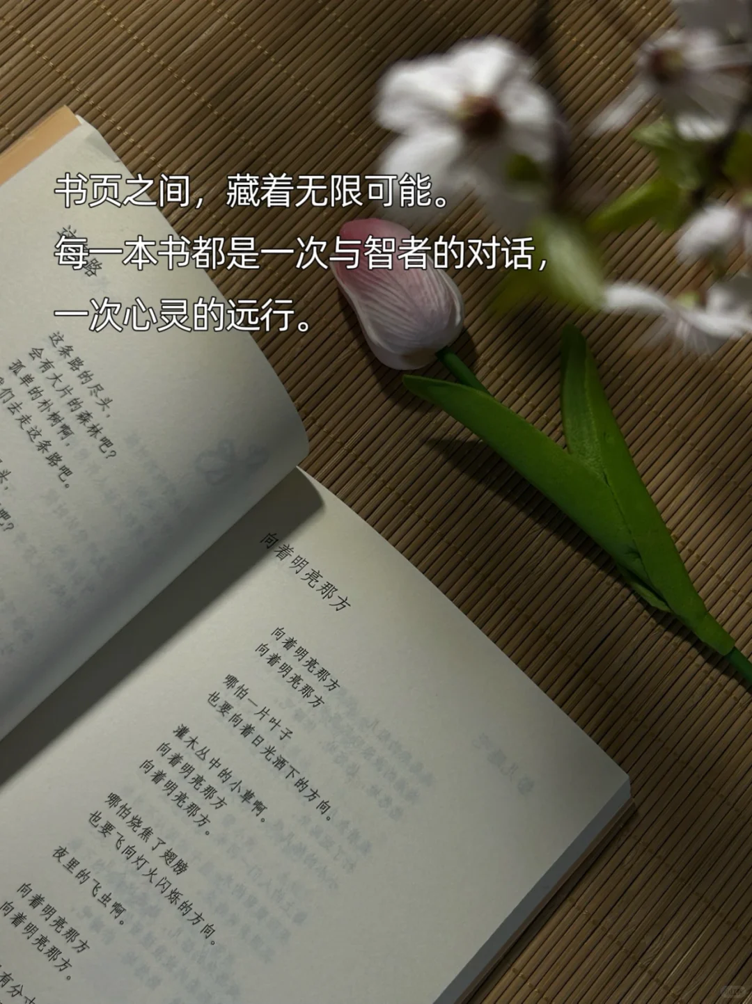 ——献给每一位用阅读拓宽生命维度的女性