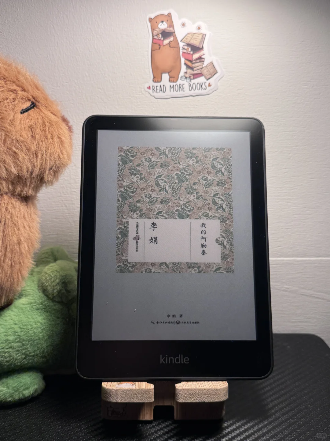 彩色kindle，新桃换旧符