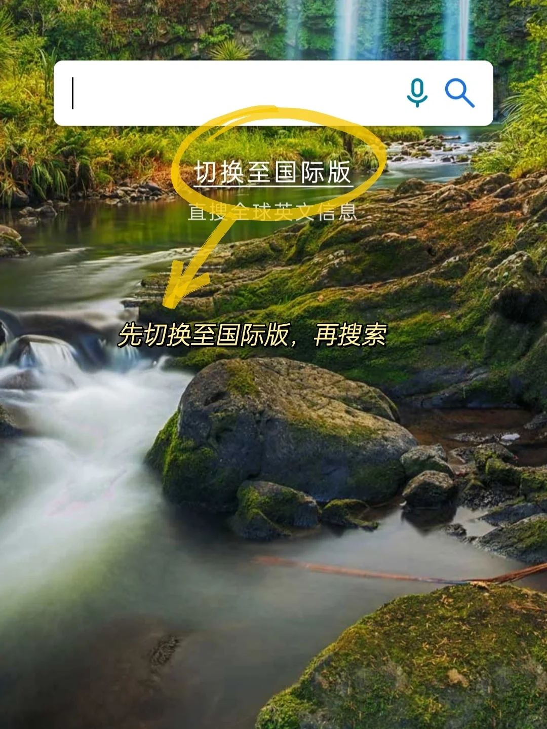 不花一分钱实现读书自由🔥免费真香❗