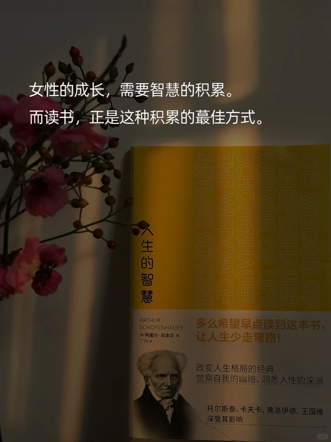 ——献给每一位用阅读拓宽生命维度的女性