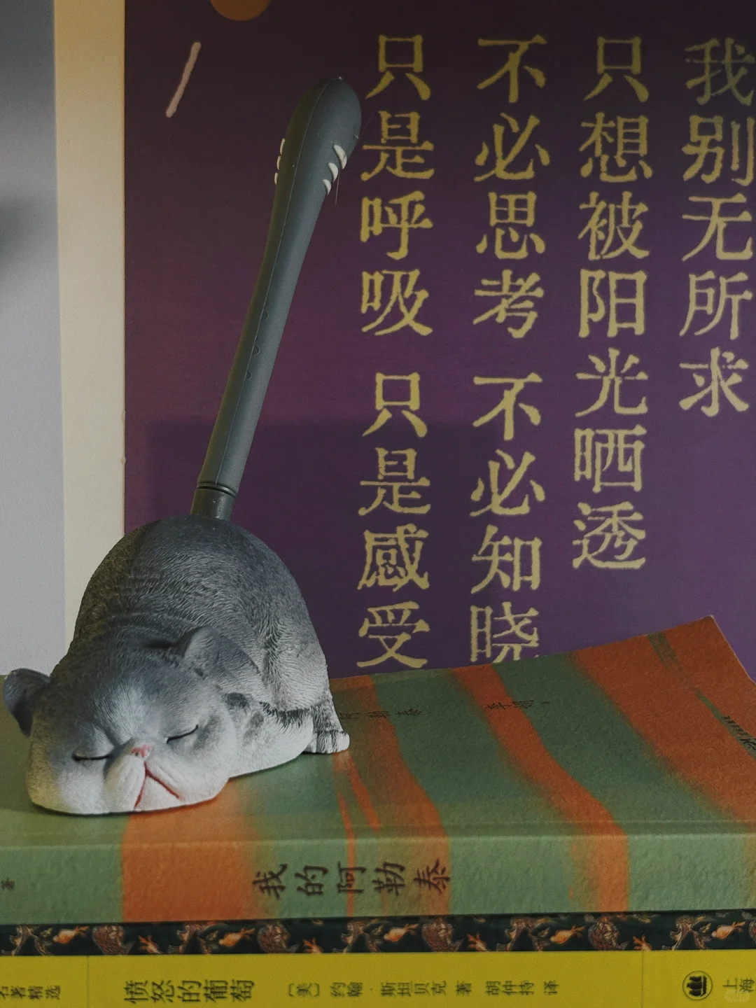 “我正直勇敢有阅读量，我有什么好可怜的”