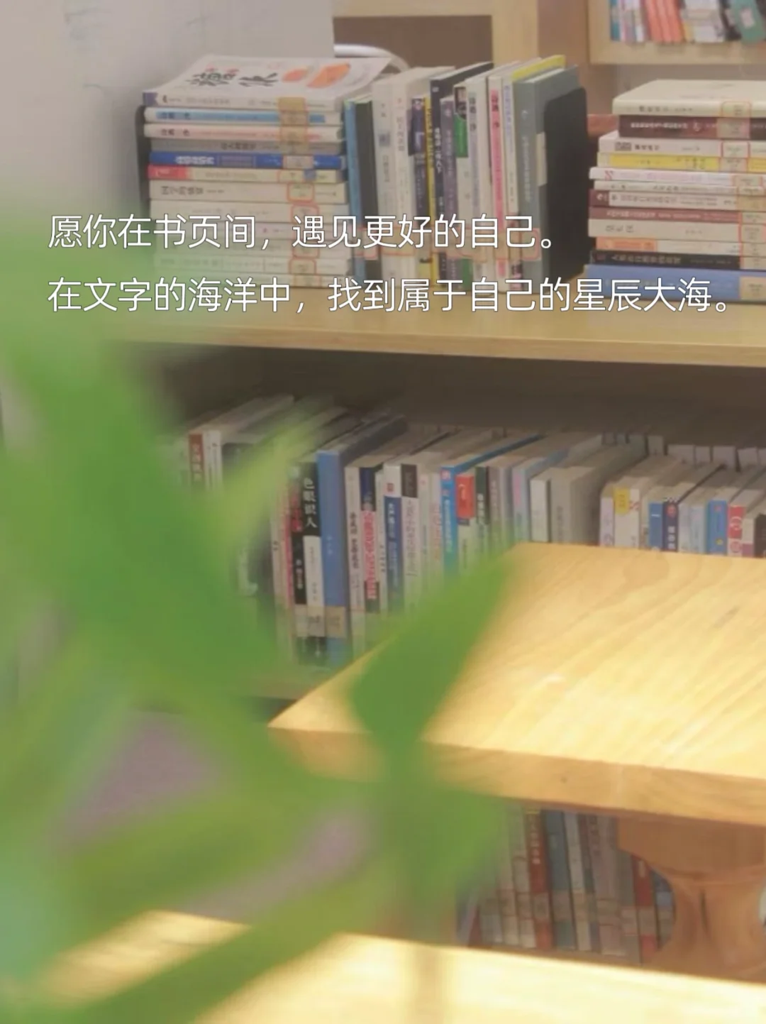 ——献给每一位用阅读拓宽生命维度的女性