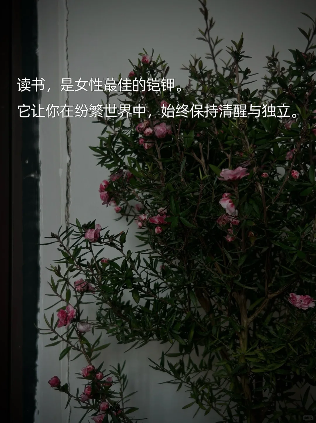 ——献给每一位用阅读拓宽生命维度的女性
