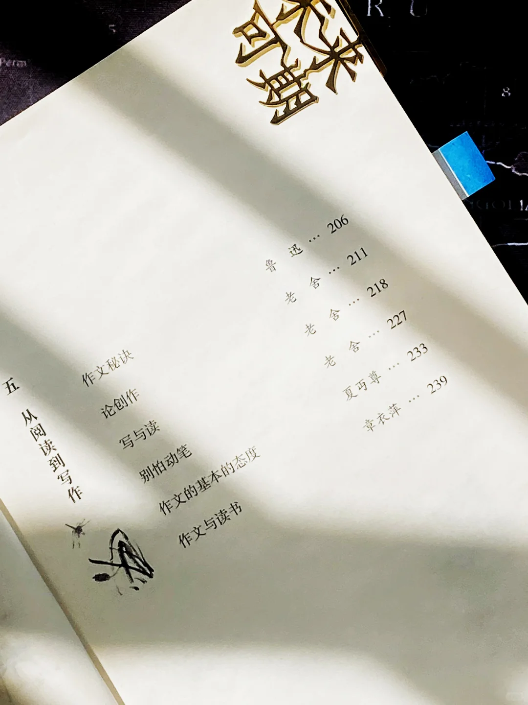 读书感悟｜留一刻静坐，读一页清心