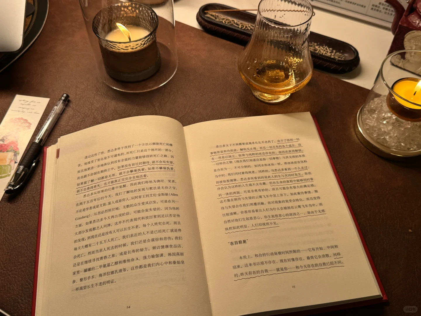 夜读时间🍷