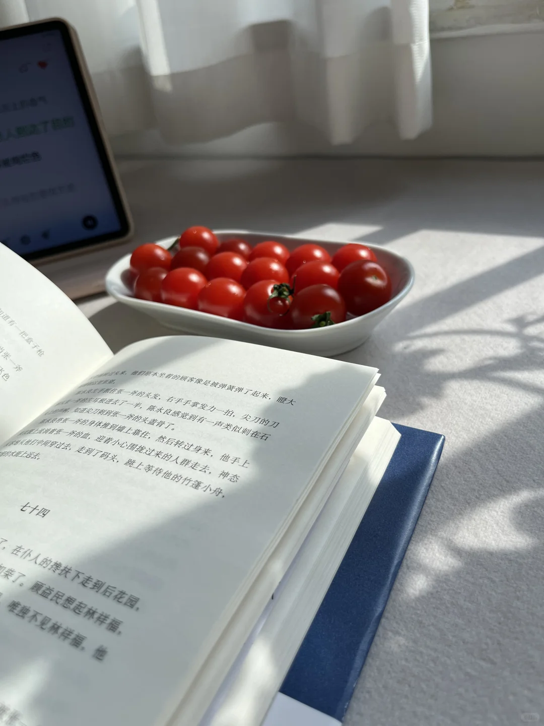 午后阳光下的阅读时光📖🌞