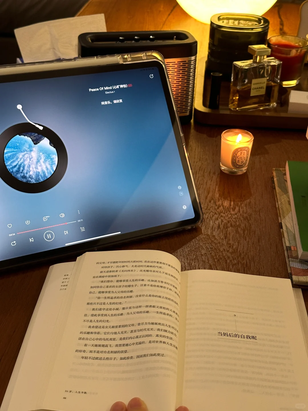 夜晚 宅家 我的读书日常📖