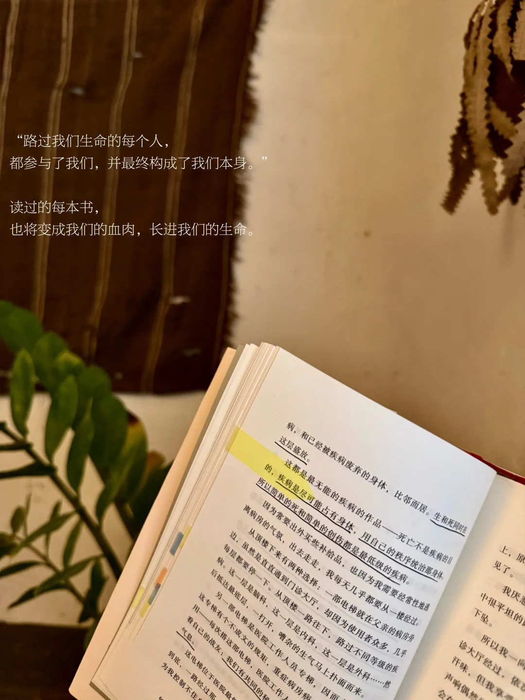 阅读，才是我平凡生活里的刚需