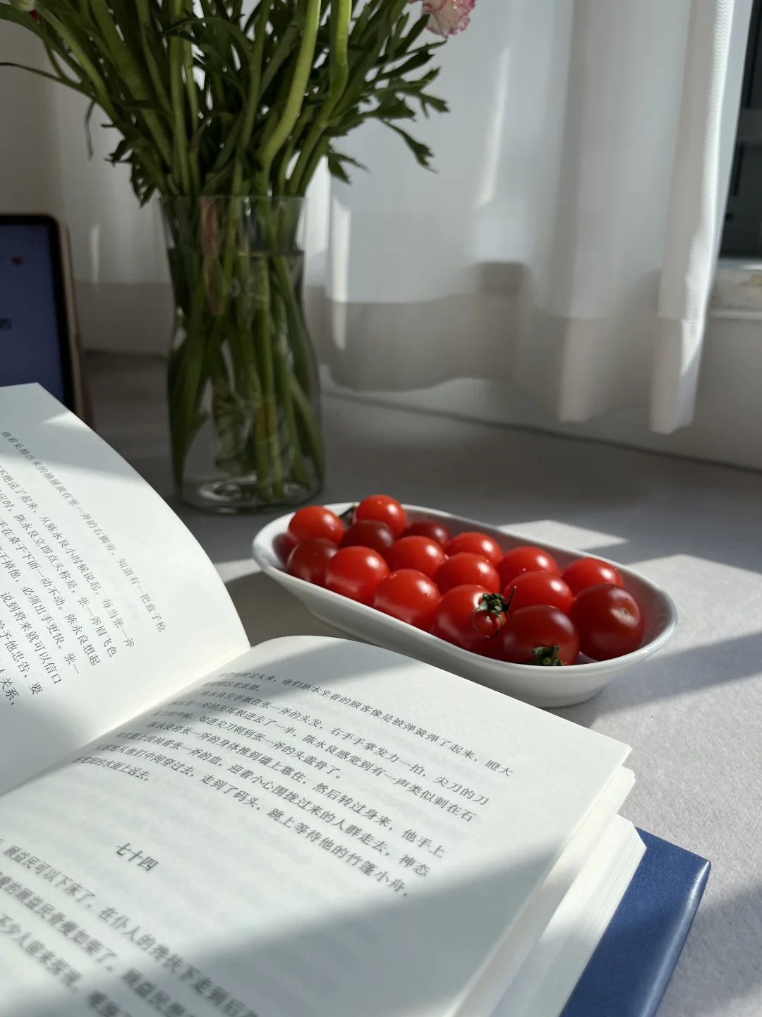 午后阳光下的阅读时光📖🌞