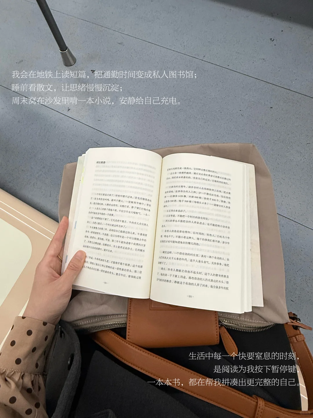 阅读，才是我平凡生活里的刚需