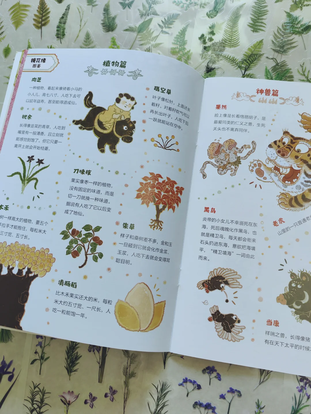 🌸花非花，雾非雾｜传统文化故事我爱听❗